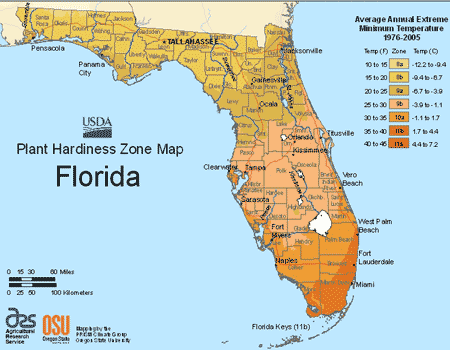 Map Of Usda Growing Zones For Florida - Best Time To Plant Garden In Florida