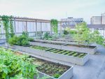 Rooftop Garden With Raised Garden Beds Full Of Plants