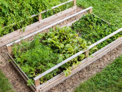 Tips For Designing Raised Garden Beds, Preparing A Raised Vegetable Garden Bed