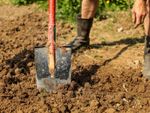 Gardener Shoveling in Clay Heavy Soil