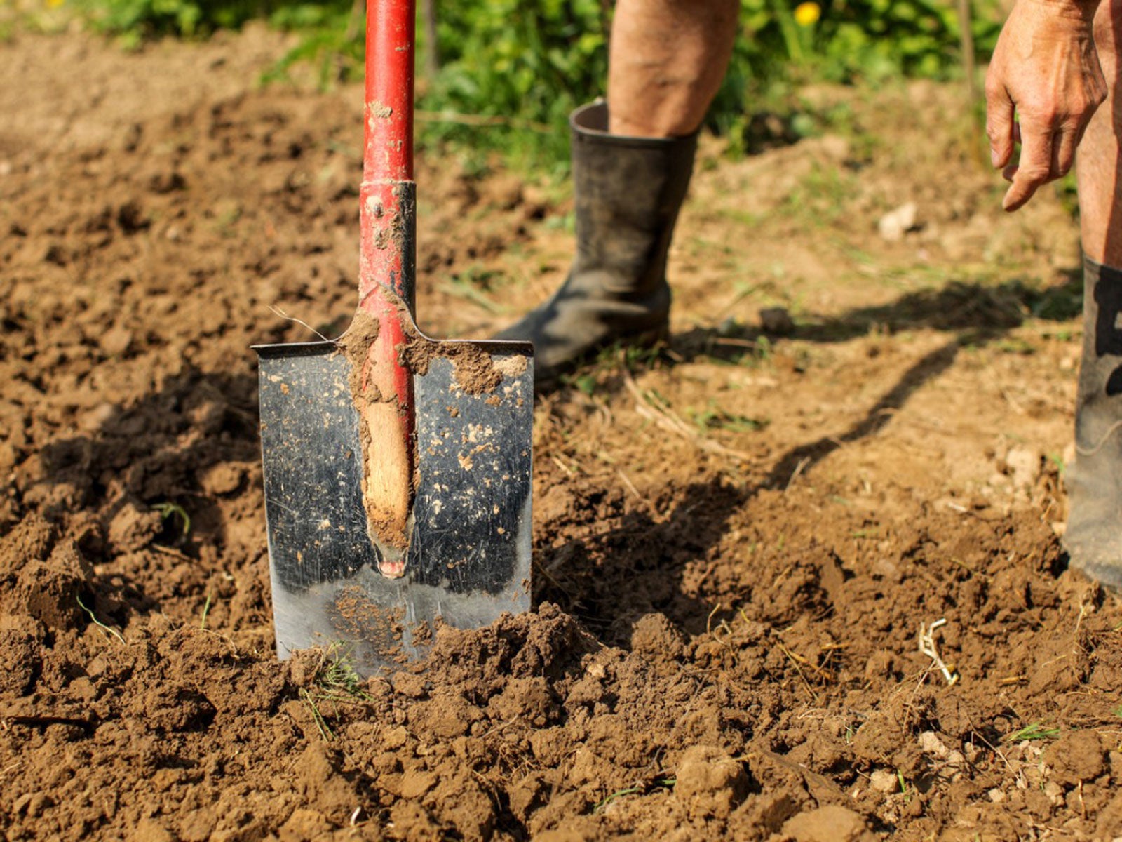 Amending Clay Soil Improving, Improving Clay Soil For Gardening