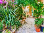 Mediterranean Style Garden Path Way With Flowers And Plants