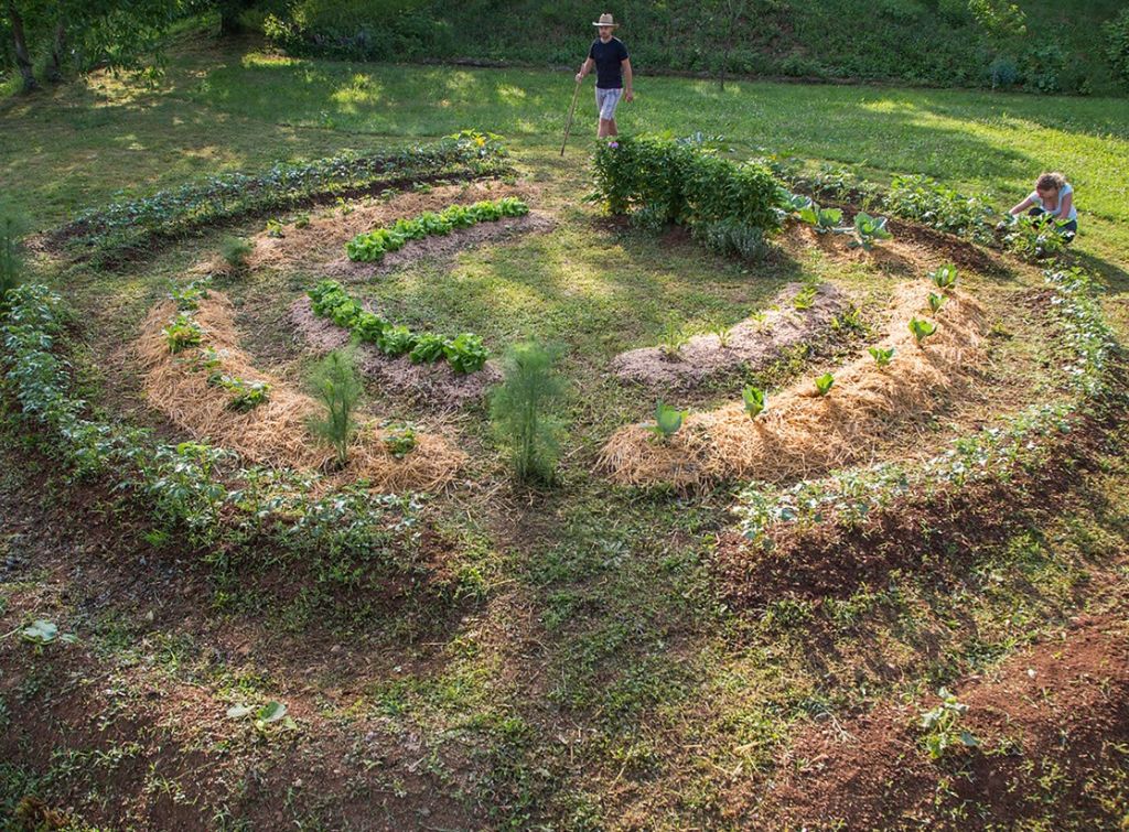 Two people working in a circular vegetable garden