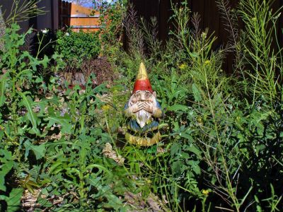 Garden Gnome Surrounded By Weeds