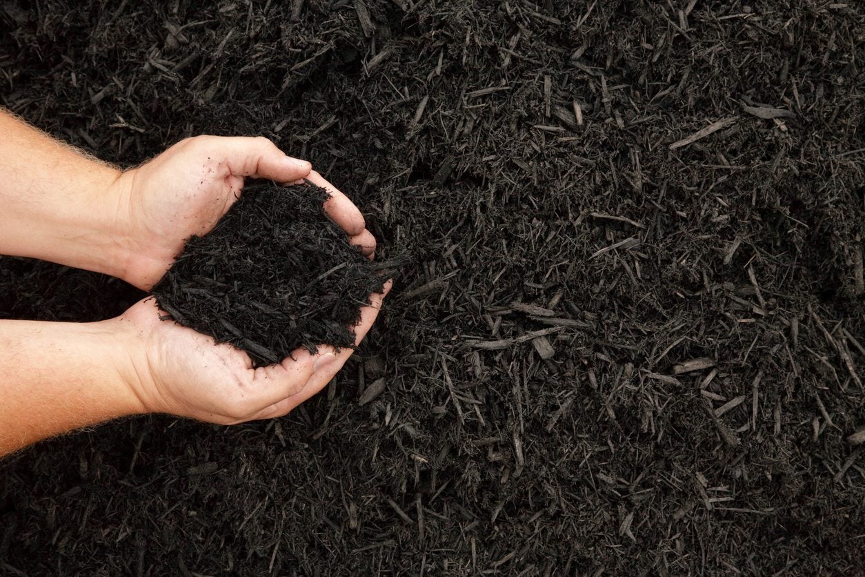 Using Organic Mulch In Gardens Types Of Natural Mulch