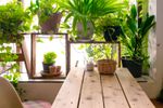 DIY Indoor Garden Room Full Of Plants