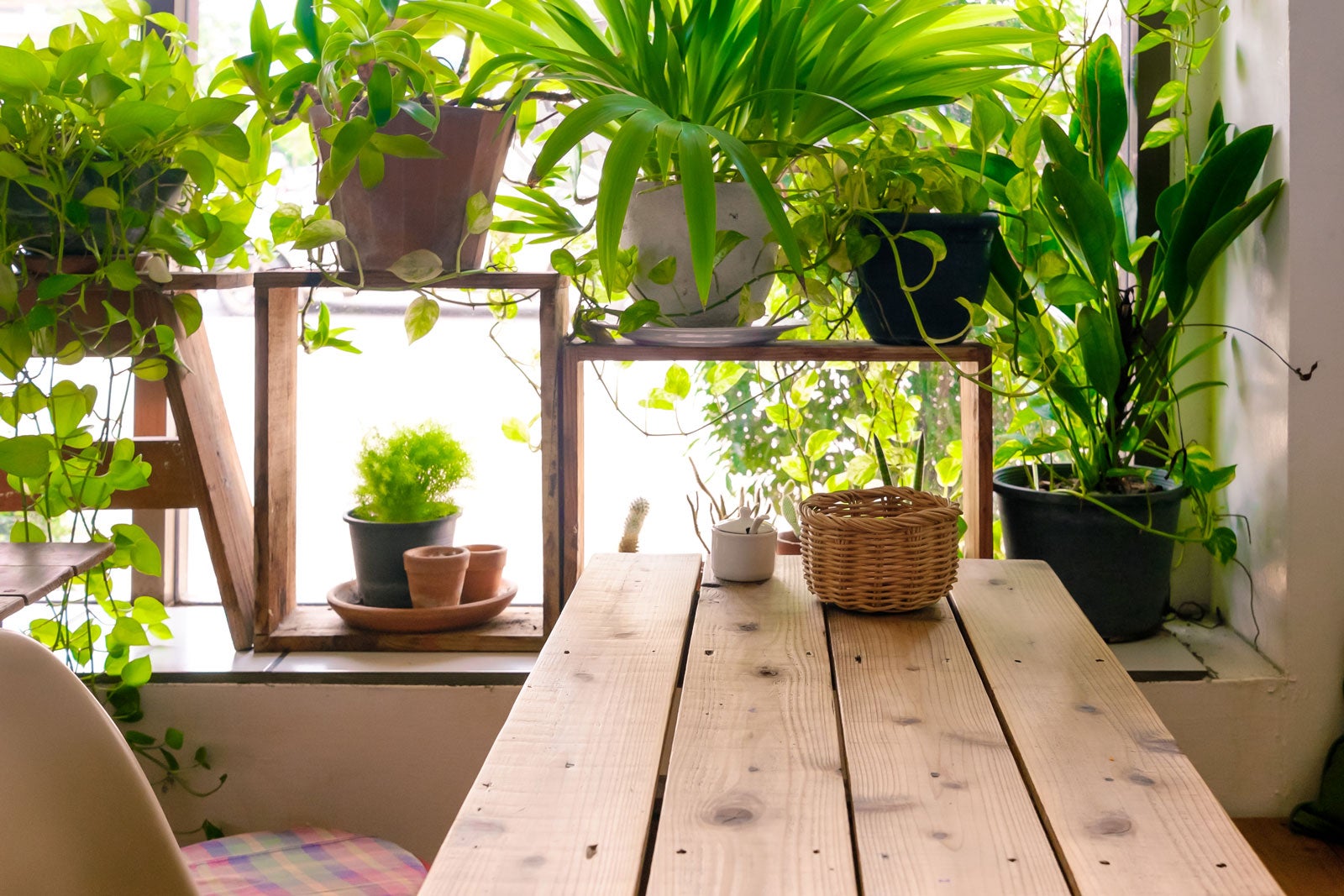 How To Start An Indoor Garden Room