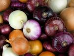 Variety Of Onions