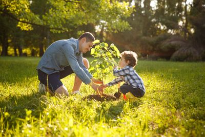 A Child And An Adult Planting A Tree