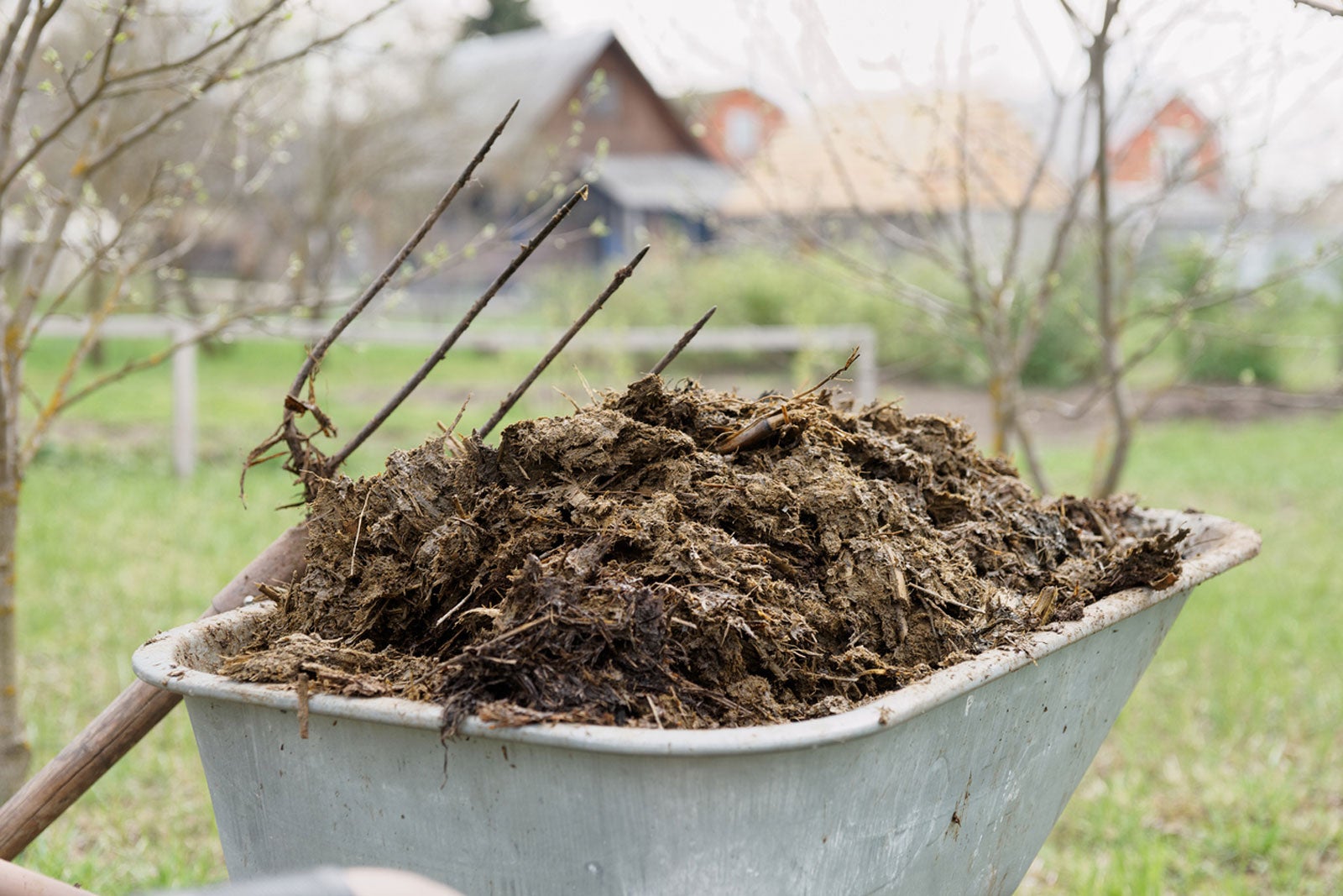Manure As Fertilizer: How Manure Effects The Soil