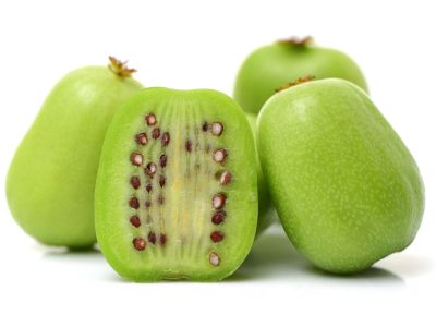 Kiwi fruit tree care