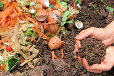 Hands Holding Compost Soil