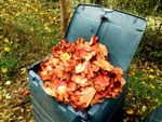 Garden Compost Full Of Leaves