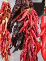Red Hot Chili Peppers Drying