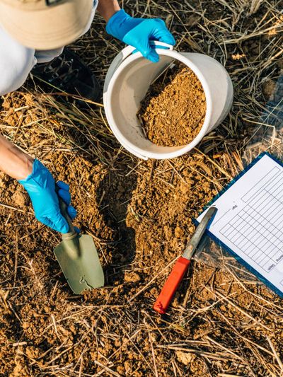 Botanist Shoveling Soil Samples Into A Bucket