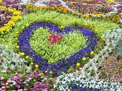 A beautiful flowerbed planted in the shape of a heart