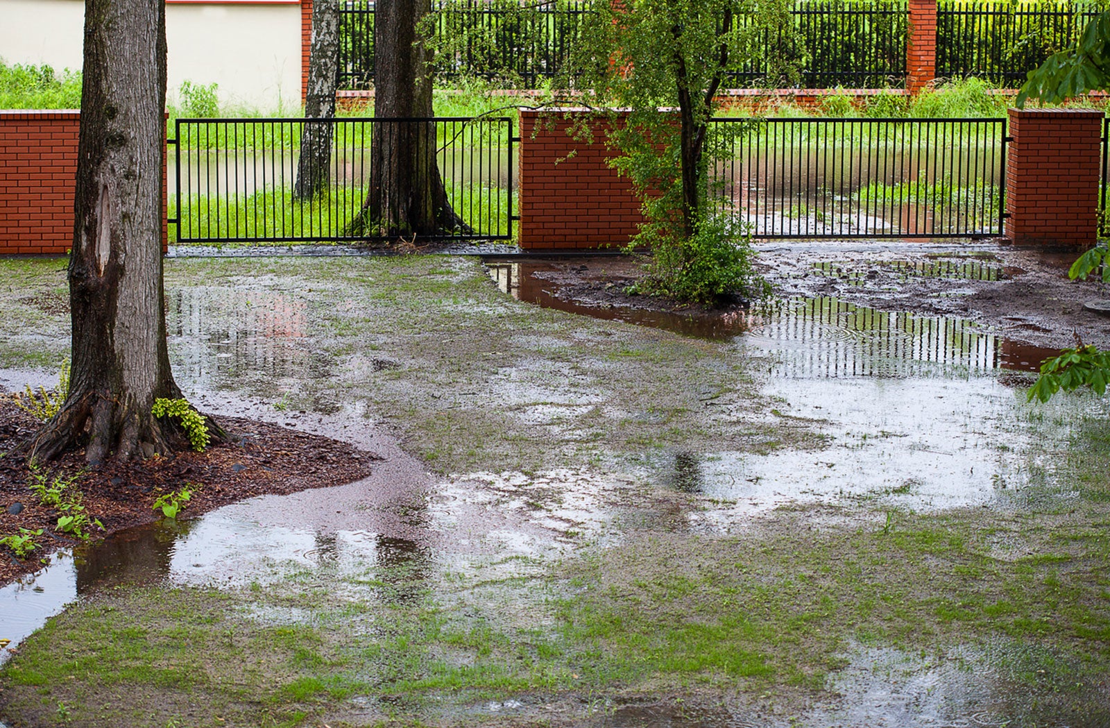Garden Flooding - How To Save Plants From Flood Damage