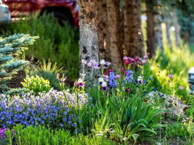 All Season Flower Gardens Designing, Year Round Landscaping Plants
