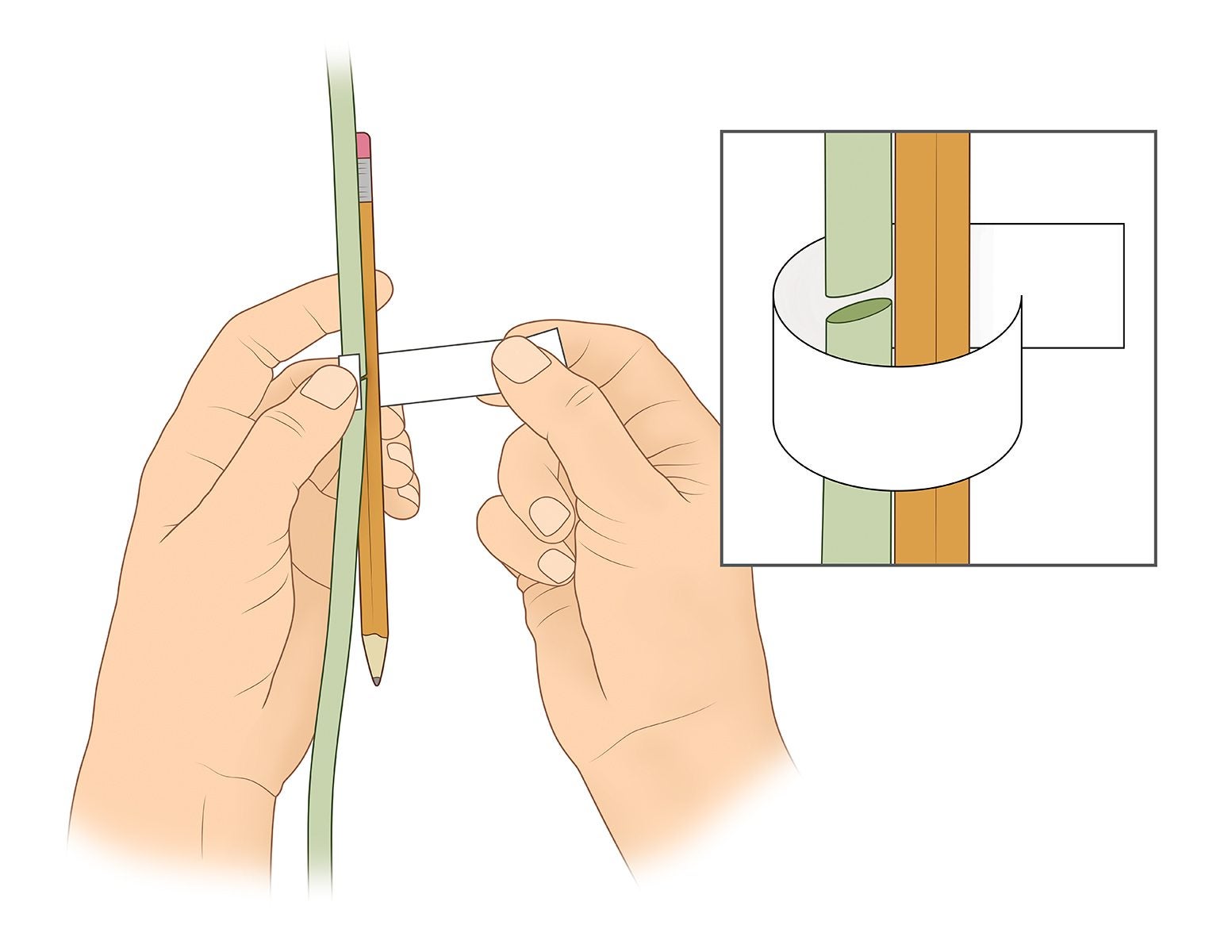 Taping And Splice Grafting Broken Plants: How To Reattach Broken Stems