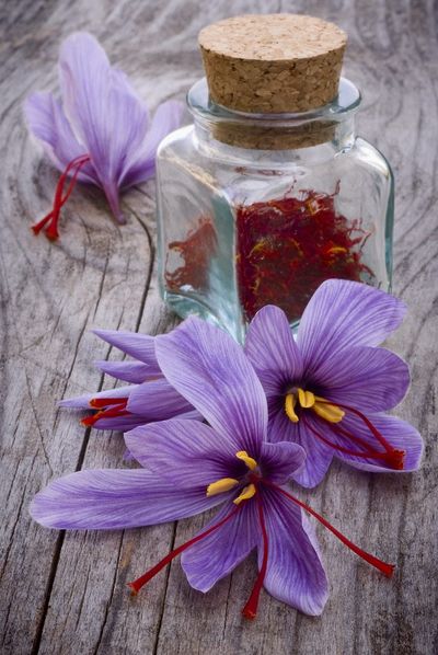Saffron Flowers Next To Jar Of Herbs