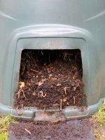 Worm Compost Bin