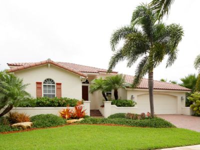 Palm Tree Choices How To Take Care Of, All Weather Tree Care And Landscaping