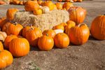 Pumpkins On And Around A Hay Bale