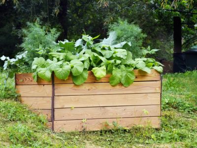 A Mittleider Garden Method Style Planter Box