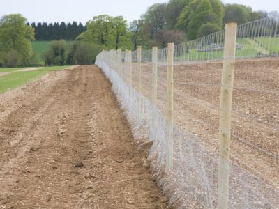 Tips On Building A Deer Proof Fence, Electric Fence To Keep Deer Out Of Garden