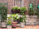 Patio With Several Potted Plants And Flowers