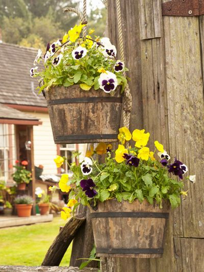 Flowers In Hanging Barrel Baskets