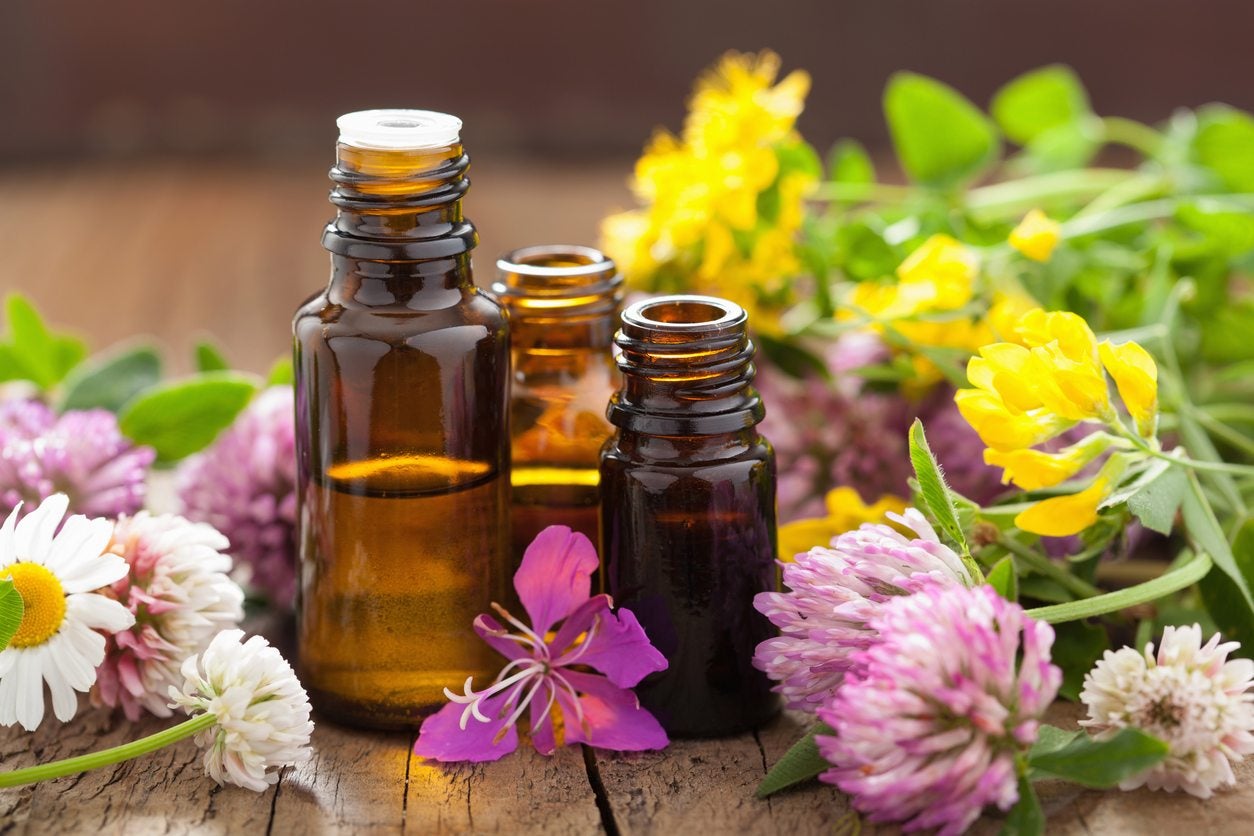 Benefits Of Aromatherapy - Information On The Use Of Aromatherapy In Gardens