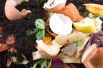 Compost Pile Of Fruits And Vegetables