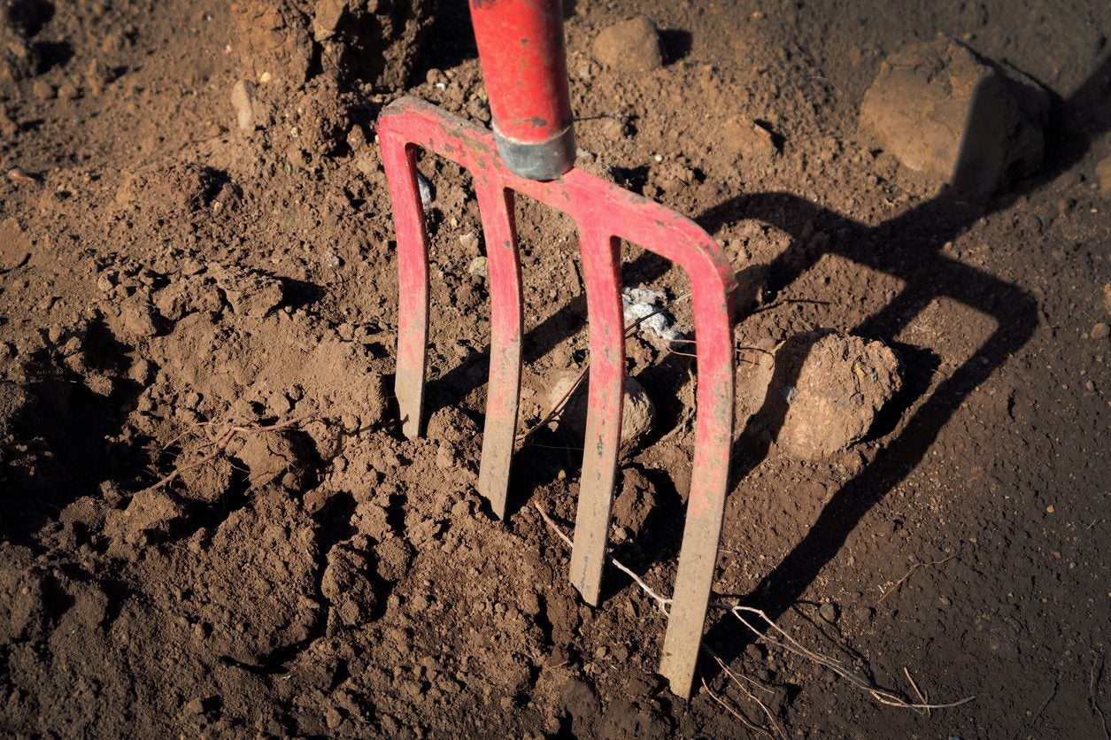 Gardening Forks Using A Digging Fork - Learn When To Use Digging Forks In The Garden