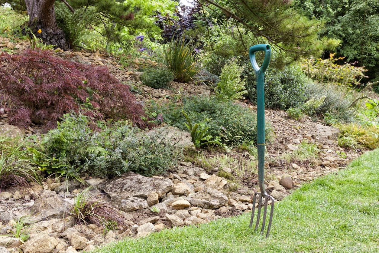 Gardening Forks Different Types Of Gardening Forks: Information On Garden Fork Uses In The  Landscape