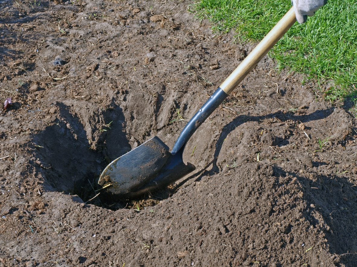 Gardening Shovels Long Vs. Short Handled Shovel - When To Use A Long Handled Shovels In The  Garden