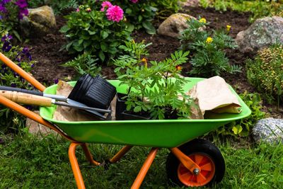 Clarin Gardening