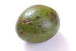 avocado spots