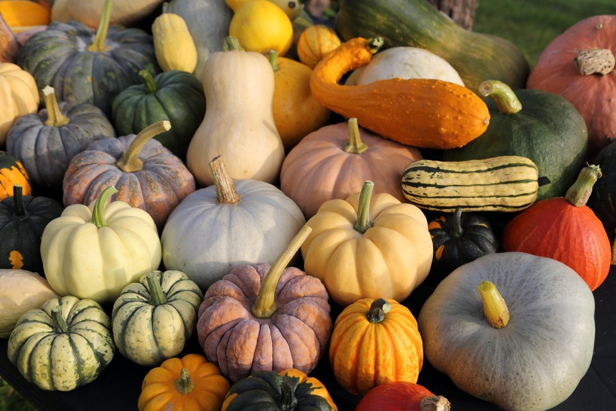 Image of Melons and pumpkins vegetables