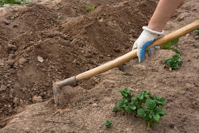 Garden Hoes Different Types Of Garden Hoes: Uses For Hoes In The Garden