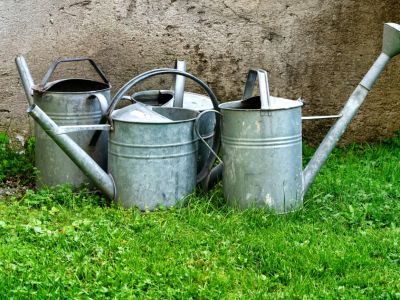 Metal Watering Cans On The Lawn