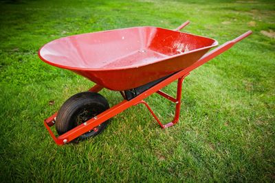 Red Wheelbarrow On The Lawn