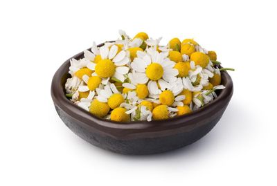 Bowl Of Chamomile Flowers