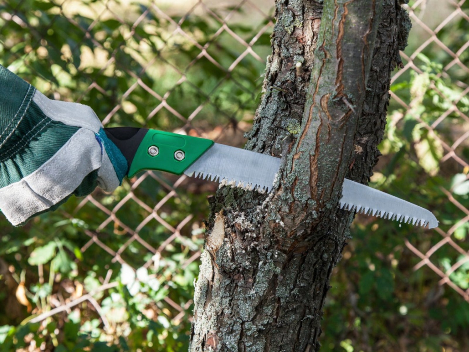 What Are Pruning Saws Used For: Tips On Using A Pruning Saw