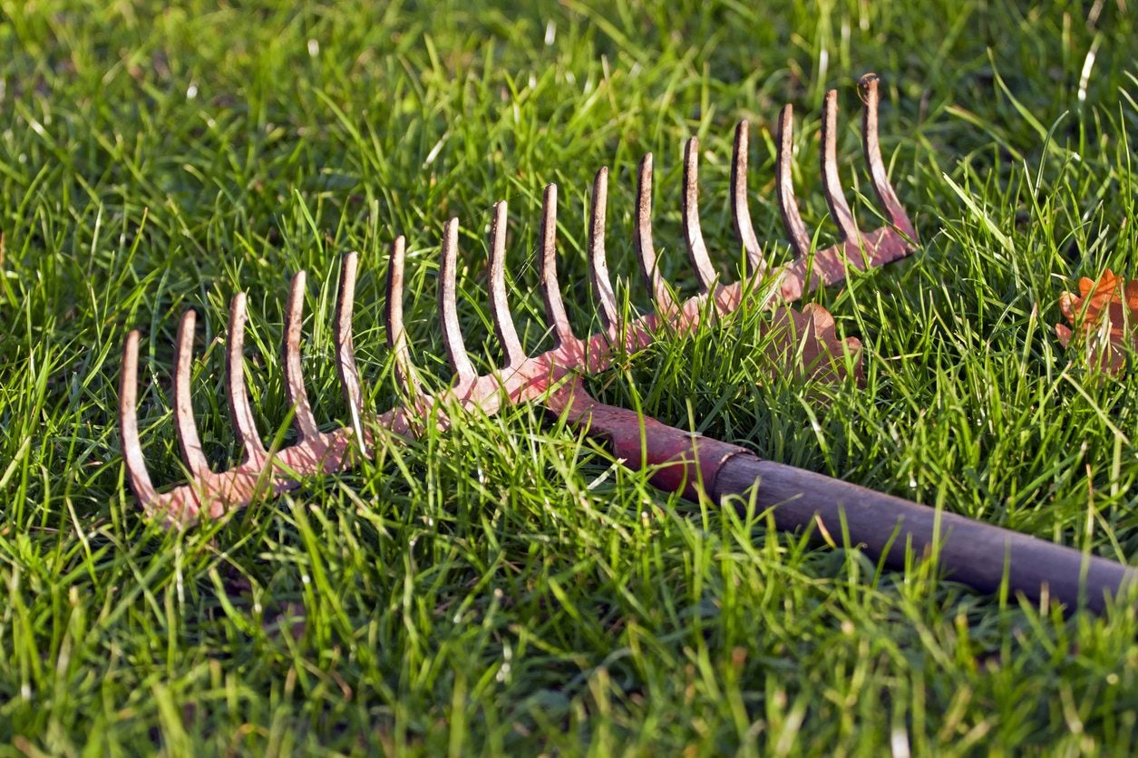 15 Different Types Of Rakes And Their Uses | chegos.pl