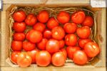 storage tomatoes