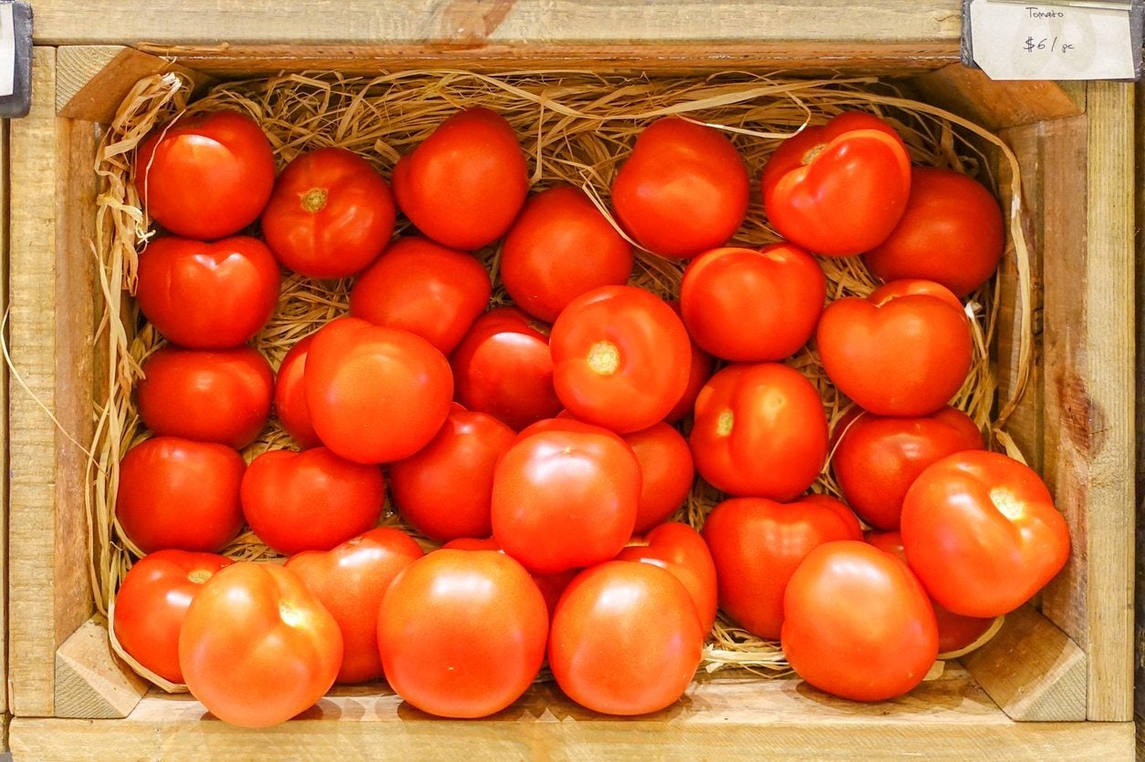 Long-Lasting Tomatoes: The Best Varieties for Storage Over Winter
