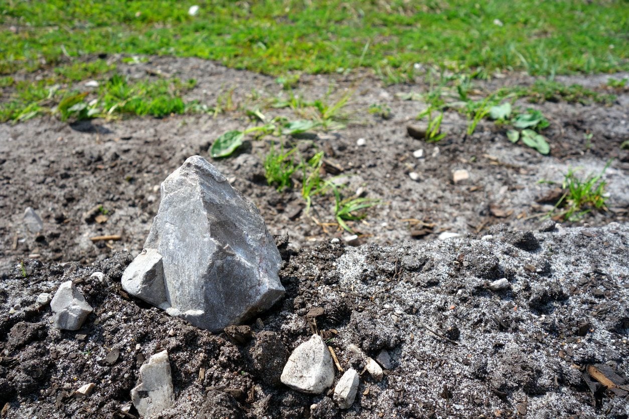 Dealing With Rocky Soil - How To Get Rid Of Rocks In Soil