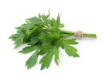 Bouquet Of Lovage Herbs
