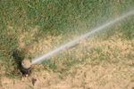 Sprinkler Planted In Grass Top Dressed With Sand